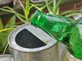 Zielona butelka z płynem przechylona nad metalową konewką. Może to być nietypowy sposób na podlanie kwiatów, czyli piwo do kwiatów.
