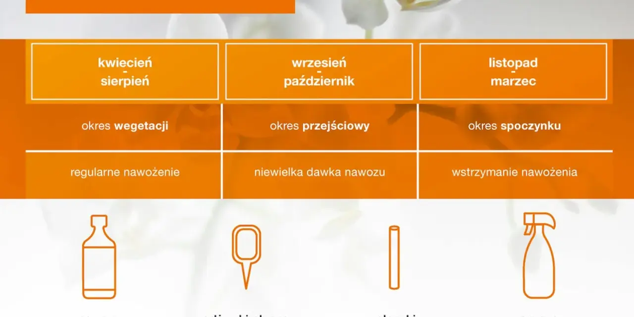 Jakie są najlepsze sposoby, czym podlewać storczyki, aby kwitły? Poradnik obejmuje nawozy płynne, odżywki w aplikatorach, pałeczki nawozowe i spraye.