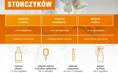 Jakie są najlepsze sposoby, czym podlewać storczyki, aby kwitły? Poradnik obejmuje nawozy płynne, odżywki w aplikatorach, pałeczki nawozowe i spraye.