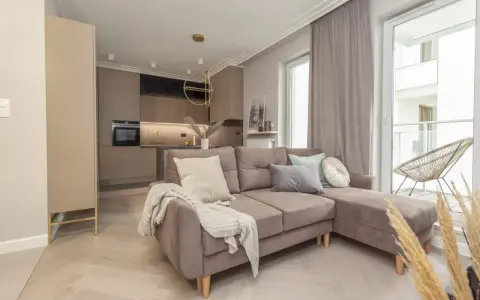 Jak urządzić małe mieszkanie 40 m? Przytulny salon z aneksem kuchennym, wygodna sofa i stylowe dodatki.