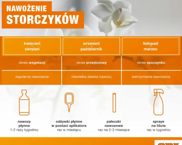Jakie są najlepsze sposoby, czym podlewać storczyki, aby kwitły? Poradnik obejmuje nawozy płynne, odżywki w aplikatorach, pałeczki nawozowe i spraye.