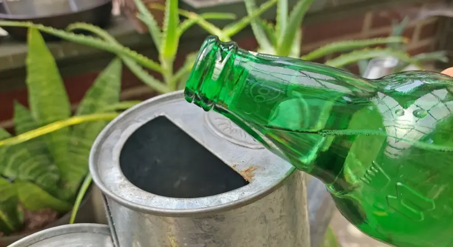 Zielona butelka z płynem przechylona nad metalową konewką. Może to być nietypowy sposób na podlanie kwiatów, czyli piwo do kwiatów.