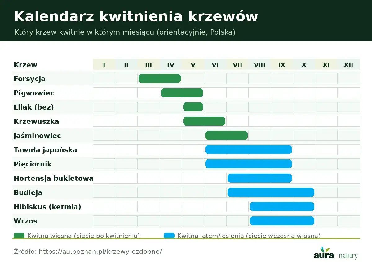 Kalendarz kwitnienia krzewów ozdobnych w Polsce. Dowiedz się, kiedy przycinać krzewy, by cieszyć się ich kwitnieniem.