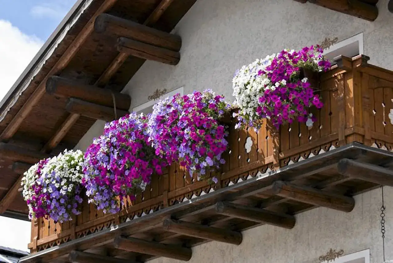 Balkon ozdobiony kaskadami kwitnących petunii w odcieniach bieli, fioletu i r&oacute;żu. Idealna inspiracja, jakie kwiaty sadzić na balkonie, by stworzyć barwną oazę.